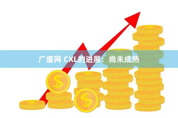 广盛网 CXL的进展：尚未成熟