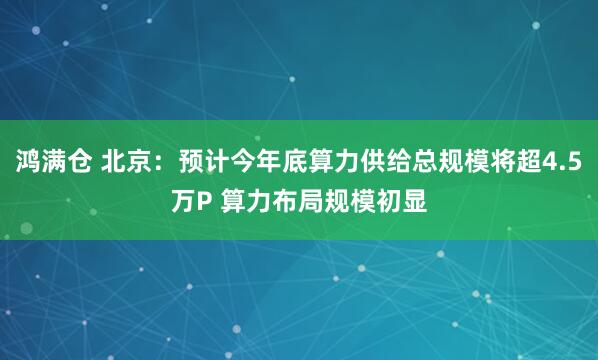 鸿满仓 北京：预计今年底算力供给总规模将超4.5万P 算力布局规模初显