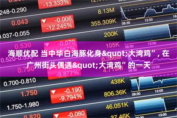 海顺优配 当中华白海豚化身"大湾鸡”, 在广州街头偶遇"大湾鸡”的一天