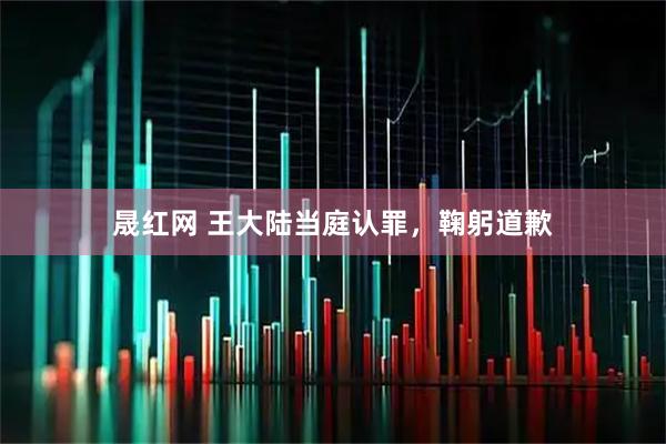 晟红网 王大陆当庭认罪，鞠躬道歉