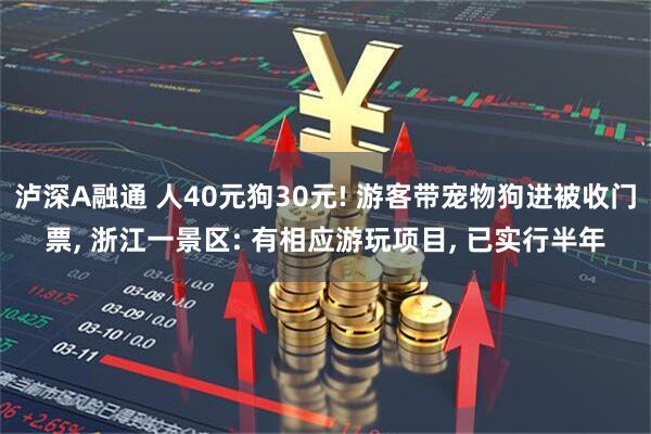 泸深A融通 人40元狗30元! 游客带宠物狗进被收门票, 浙江一景区: 有相应游玩项目, 已实行半年